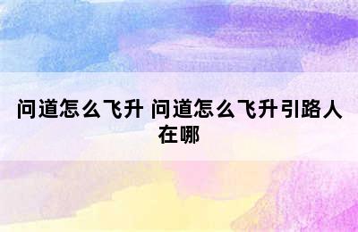 问道怎么飞升 问道怎么飞升引路人在哪